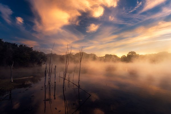 GE02 - Staying together - Rotorua, Bay of Plenty.jpg